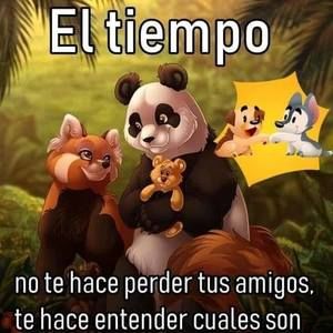 Meet your Posher, Jose